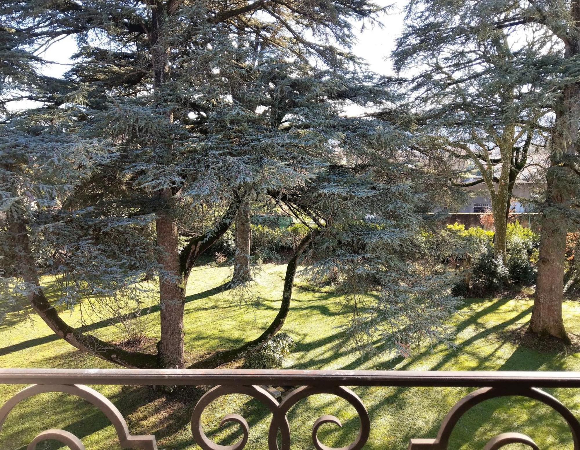 Maison D'Hotes Le Parc Labruguière Zimmer foto